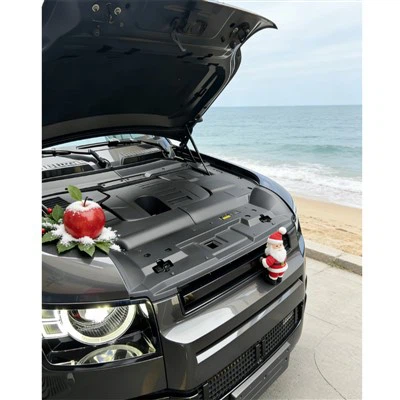 Mold For Automotive Engine Protection Cover